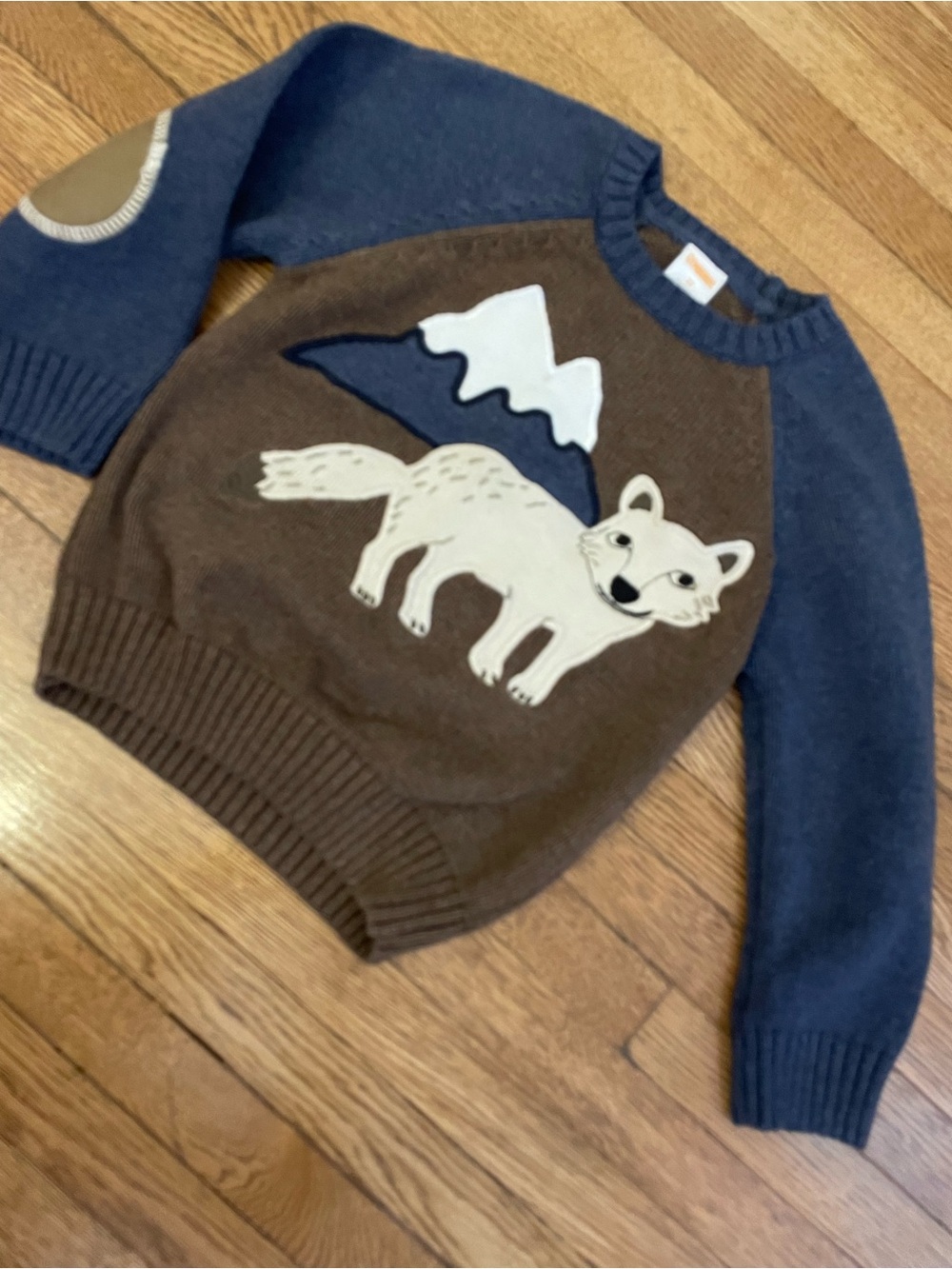 2t Gymboree boys knit fox sweater